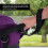 Baby Stroller Safety Wrist Strap, Black 10