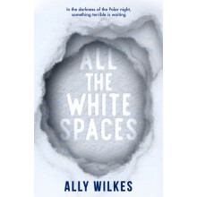 All the White Spaces by Ally Wilkes Paperback Book