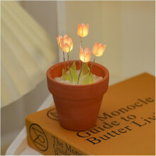 Lampe tulipe miniature à monter soi-même avec 5 fleurs — Kit fait main, décoration romantique pour bureau et chambre