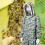 Polyester Cotton Bee Suit, Double Zippers, XL 11