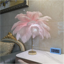 Lampe de table LED à plumes avec commande tactile, rechargeable par USB, lampe décorative pour chambre