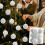 Christmas Balls Shatterproof 3.14 Inch White 12 Pcs 2