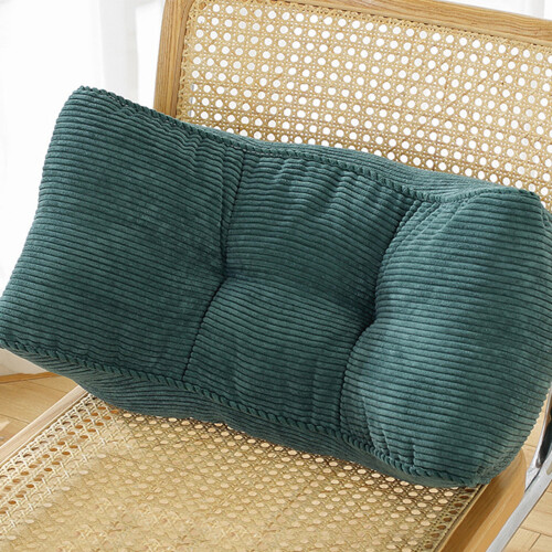 Lumbar Support Pillow Memory Foam Portable for Office Car