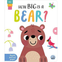 How Big is a Bear by Lisa Regan Hardcover Book