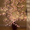 LED Pink Cherry Blossom Vine String Lights 72/96/144 LED 1