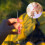 Retractable Toothpick and Fruit Fork 3-Stage Adjustable 3