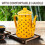 Boiling Tea Kettle Enamel 1 Piece 21 x 0.3937 Inch 8