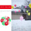 Round Latex Balloons Christmas Style 30 pcs 5