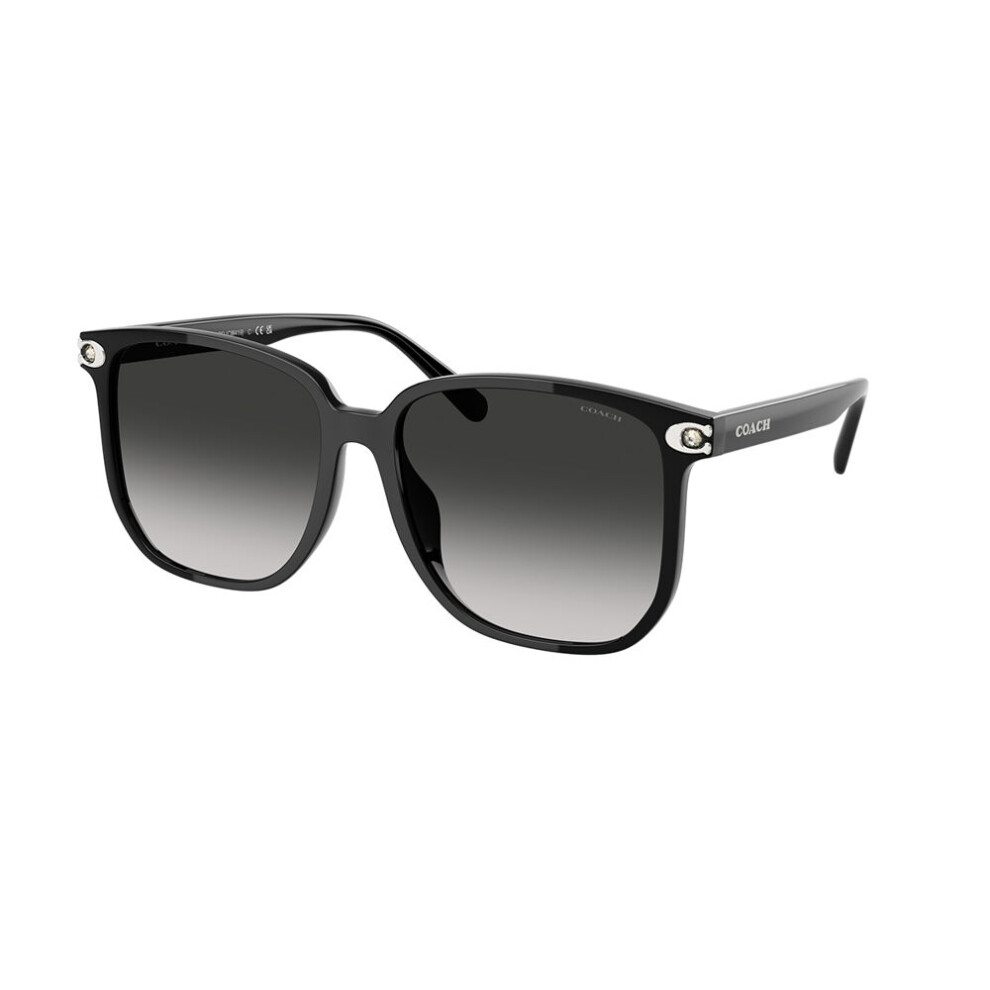 Coach Hc8413bd Cw419 Asian Fit 50023C Women New Sunglasses Black
