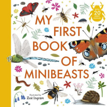 My First Book of Minibeasts by Anonymous Paperback Book