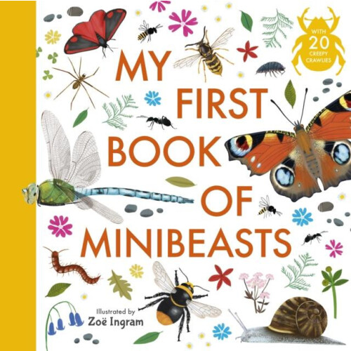 My First Book of Minibeasts by Anonymous Paperback Book