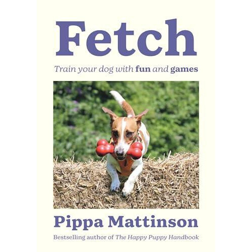Fetch by Pippa Mattinson Paperback Book