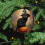 Ceramic Black Cat Witch Hat Pumpkin Ornament 1pc 5