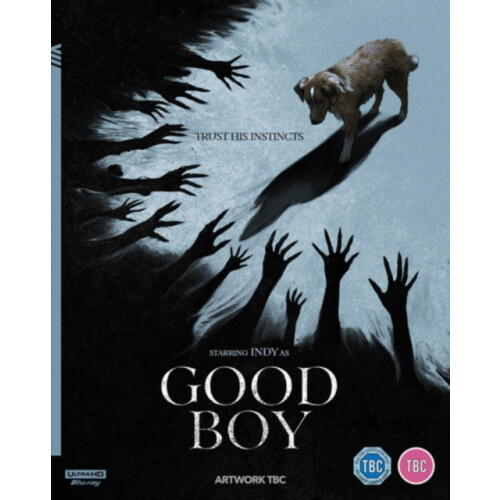 Good Boy