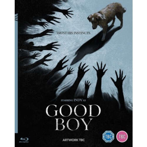 Good Boy