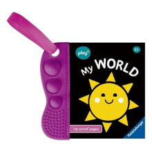Flip Pop My World Other Book