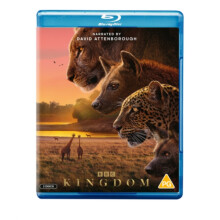 Kingdom