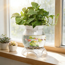 Plastic Hydroponic Plants Vases For Home Use Living Room Desktop Landscaping Potted Plants And Office Use Thickened Transparent Fish Tanks(X,Plastic)