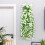 Videiras artificiais suspensas de 80 cm (31,5 polegadas) para decoração de casamentos e casa. 5