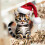 Grey Tabby Cat Christmas Ornament 1 Pack 2