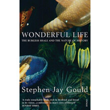 Wonderful Life by Stephen Jay Gould Paperback Book