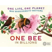 One Life One Planet One Bee in Billions by Sarah Ridley Paperback Book