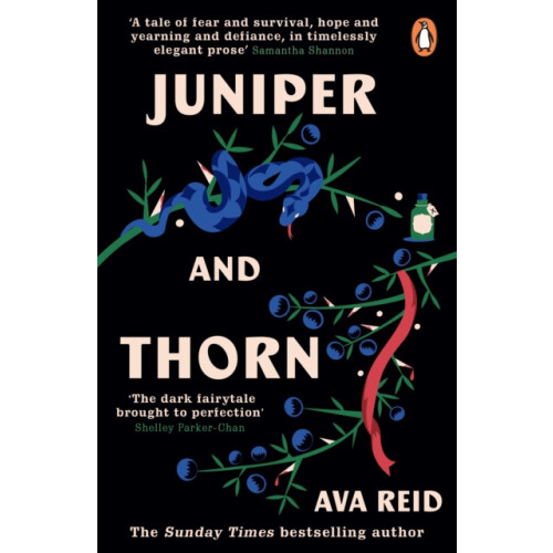 Juniper Thorn by Ava Reid Paperback Book