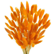 100 Pcs Orange Dried Bunny Tails Grass (Lagurus Ovatus) for DIY, Wedding, Home Decor – Compatible with Floral Arrangements