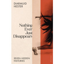 Nothing Ever Just Disappears Seven Hidden Histories by Diarmuid Hester