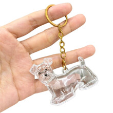 Memorial Keychain for Dog Hair Acrylic 1 Piece