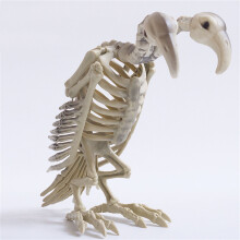 Double-Head Vulture Skeleton Decoration - Plastic Halloween