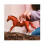 Schleich Schleich Horse Club Engl Thoroughbread Stallion 2