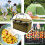 Folding Cooler Bag Insulated Portable 20L 7