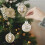 Christmas tree hanging black ball ornaments set 1