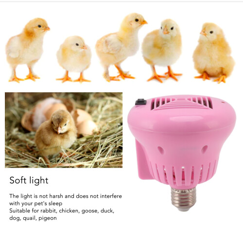 Pet Heating Lamp 3 Power Levels 220V