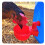 Durable PP Poultry Waterer 4 Pack 18