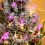 Snowflake String Lights, Battery-Powered, IP44 Waterproof, 3