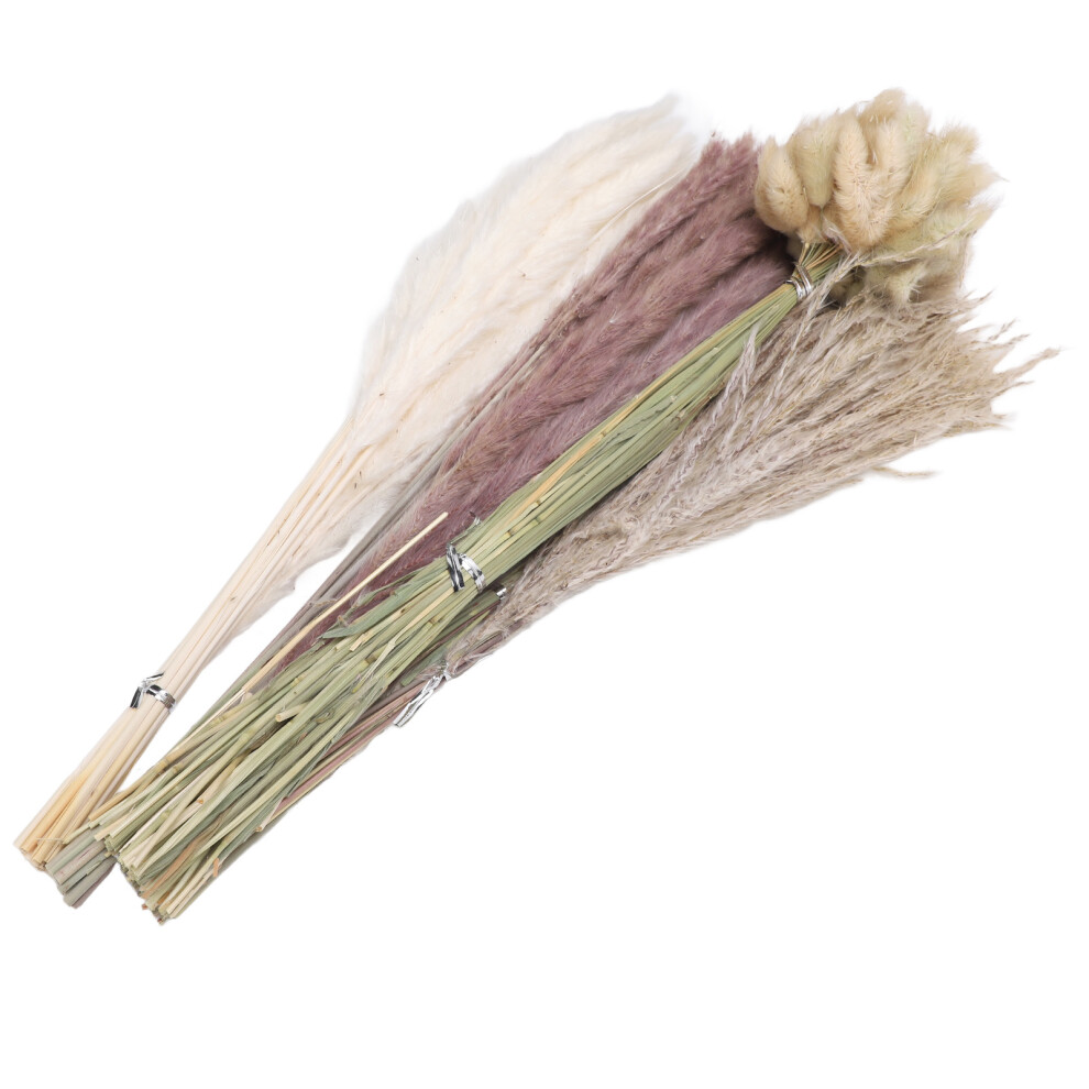 White 100Pc Dried Pampas Grass Vase Decor Mix
