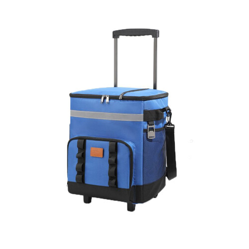Insulated Cooler Bag 12L 3-Layer Dual-Zone Expandable