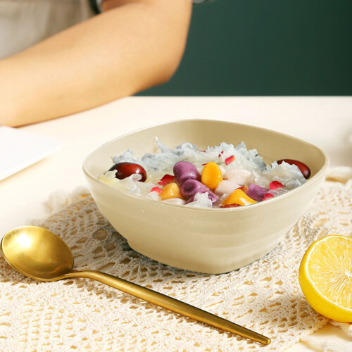 Plastic Bowl 5.3 x 2.4 in – Microwave & Dishwasher Safe 2