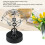 Futuristic Dolphin Kinetic Desk Toy 15