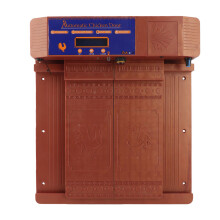 Auto Coop Door with LED Display and Low Battery