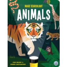 Magic Searchlight Animals by Lydia Halliday Hardcover Book