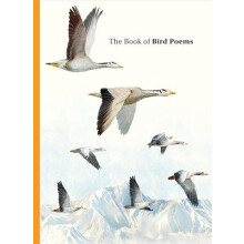 Book of Bird Poems by Ana Sampson Hardcover Book