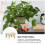 Blumentopfständer Regal Pflanzehalter Hellgelb 6