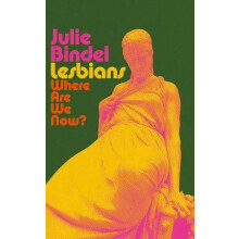 Lesbians by Julie Bindel Hardcover Book