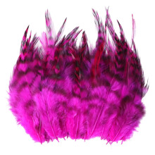 100Pcs Vibranting Chicken Plumage Great For Handmade-rose red