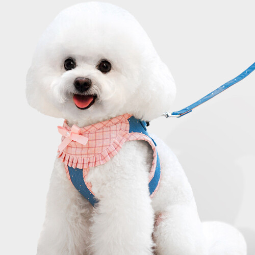 Dog Harness for Small Dogs No Pull Easy Walk Design with-L 2