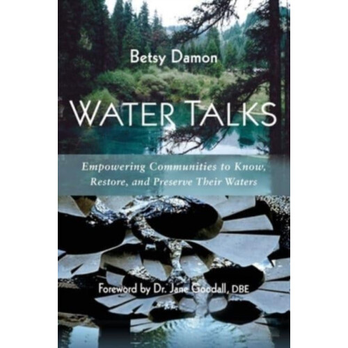 Water Talks by Betsy Damon Paperback Book