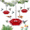 Hummingbird Feeder Red – Ant-Proof, Easy-Clean, 12 oz 1